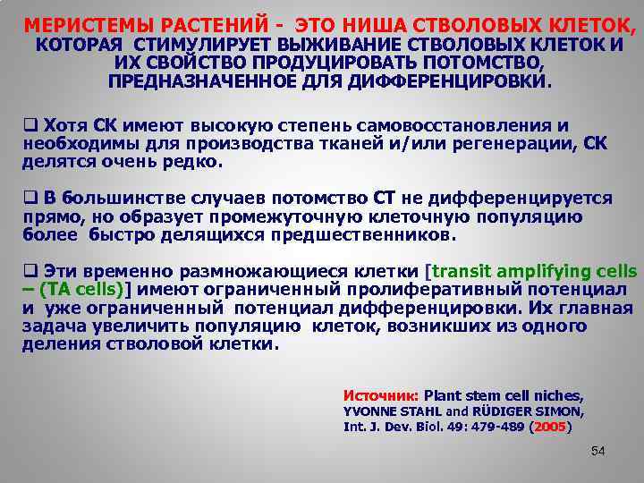 МЕРИСТЕМЫ РАСТЕНИЙ - ЭТО НИША СТВОЛОВЫХ КЛЕТОК, КОТОРАЯ СТИМУЛИРУЕТ ВЫЖИВАНИЕ СТВОЛОВЫХ КЛЕТОК И ИХ