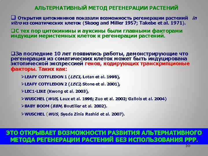 АЛЬТЕРНАТИВНЫЙ МЕТОД РЕГЕНЕРАЦИИ РАСТЕНИЙ q Открытия цитокининов показали возможность регенерации растений in vitro из