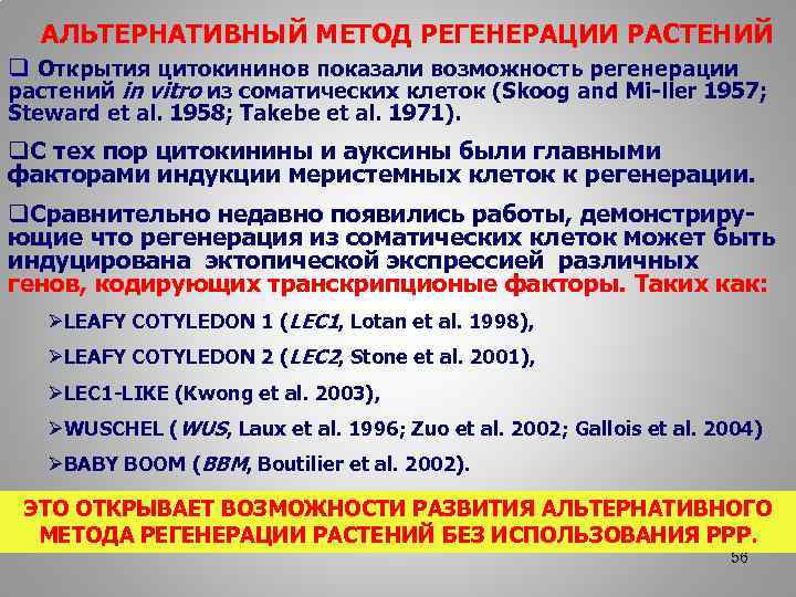 АЛЬТЕРНАТИВНЫЙ МЕТОД РЕГЕНЕРАЦИИ РАСТЕНИЙ q Открытия цитокининов показали возможность регенерации растений in vitro из