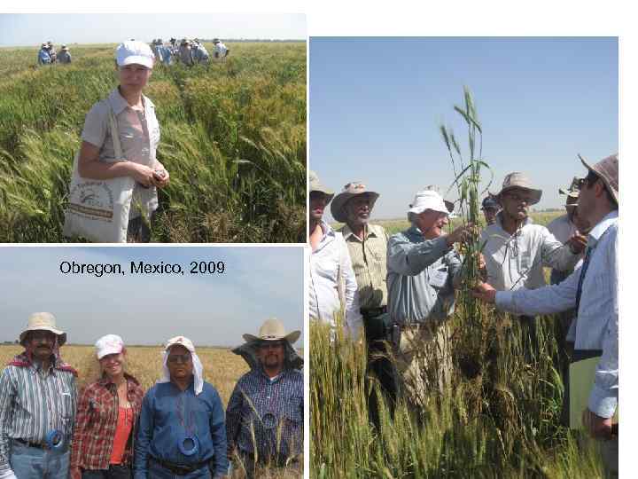 Obregon, Mexico, 2009 