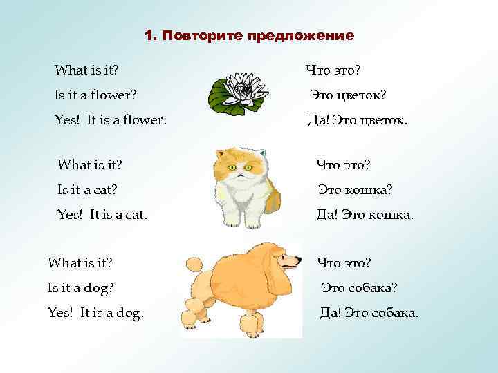 1. Повторите предложение What is it? Что это? Is it a flower? Это цветок?