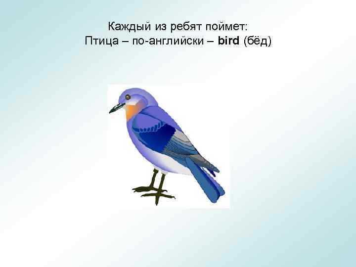 Каждый из ребят поймет: Птица – по-английски – bird (бёд) 