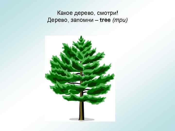 Какое дерево, смотри! Дерево, запомни – tree (три) 