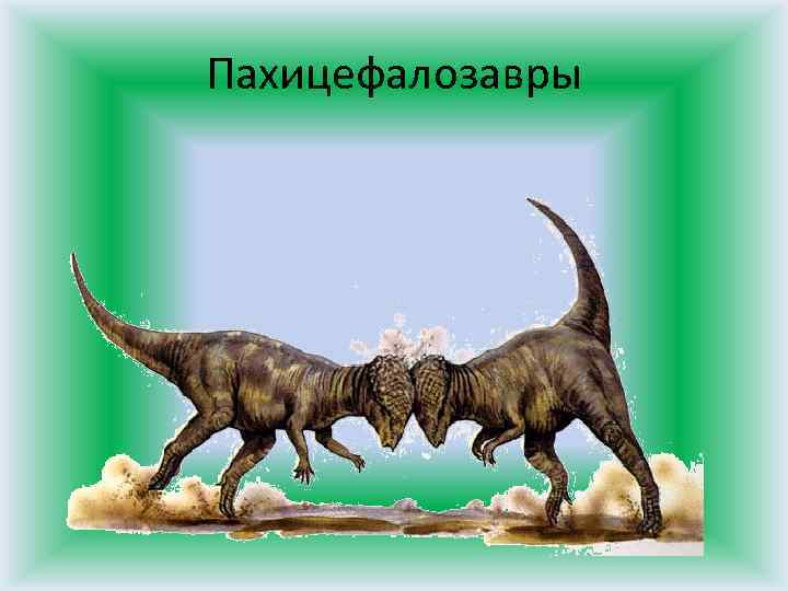Пахицефалозавры 