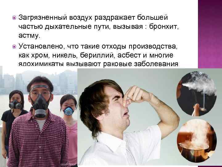 Загрязненный воздух раздражает большей частью дыхательные пути, вызывая : бронхит, астму. Установлено, что такие