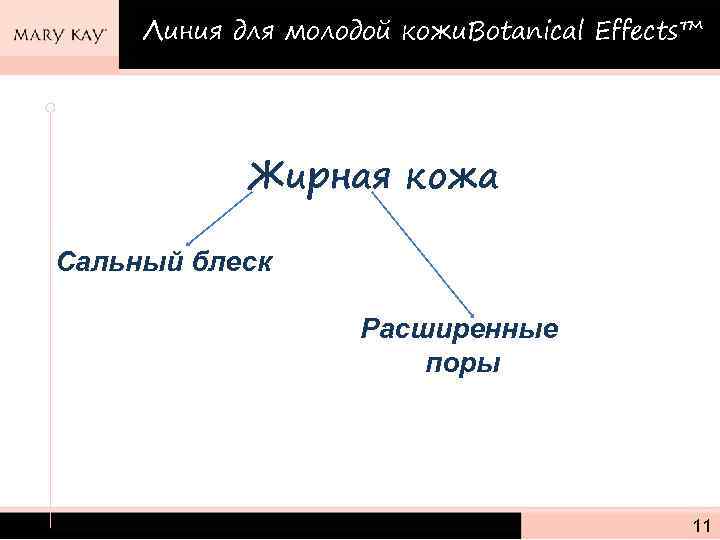 Линия для молодой кожи. Botanical Effects™ Жирная кожа Сальный блеск Расширенные поры 11 