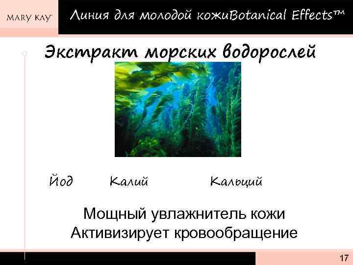 Линия для молодой кожи. Botanical Effects™ Экстракт морских водорослей Йод Калий Кальций Мощный увлажнитель