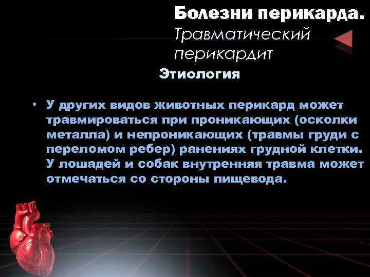 Болезни перикарда. Травматический перикардит Этиология • У других видов животных перикард может травмироваться при