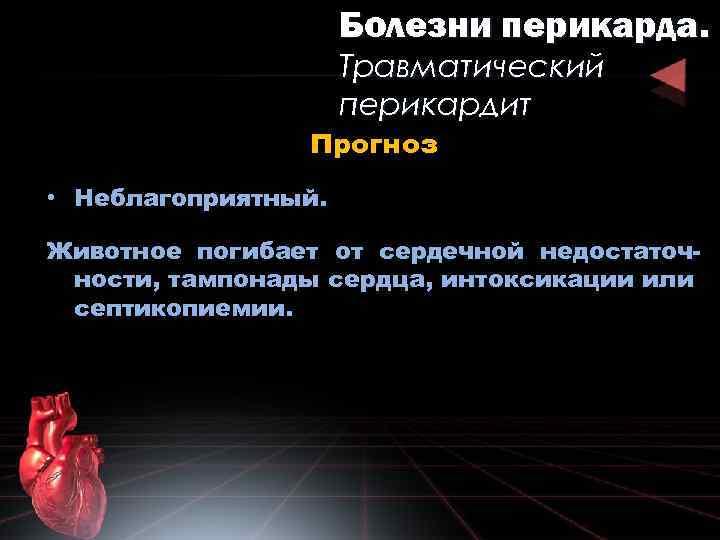 Болезни перикарда. Травматический перикардит Прогноз • Неблагоприятный. Животное погибает от сердечной недостаточности, тампонады сердца,