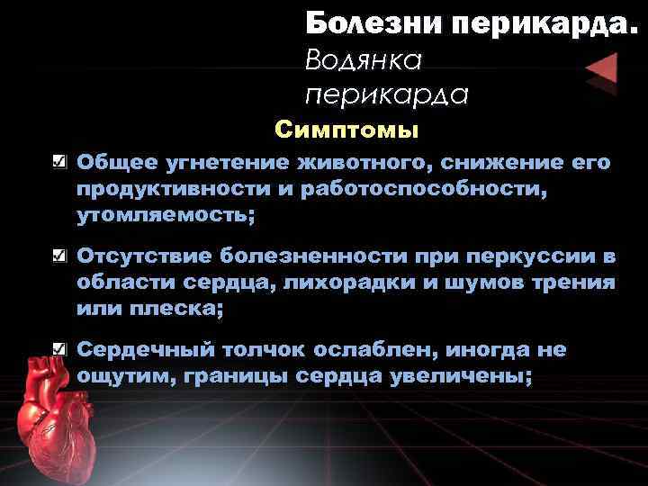 Болезни перикарда. Водянка перикарда Симптомы Общее угнетение животного, снижение его продуктивности и работоспособности, утомляемость;