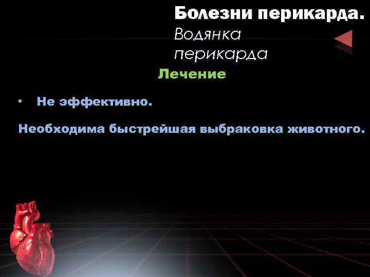 Болезни перикарда. Водянка перикарда Лечение • Не эффективно. Необходима быстрейшая выбраковка животного. 