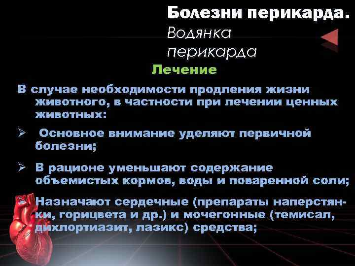 Болезни перикарда. Водянка перикарда Лечение В случае необходимости продления жизни животного, в частности при