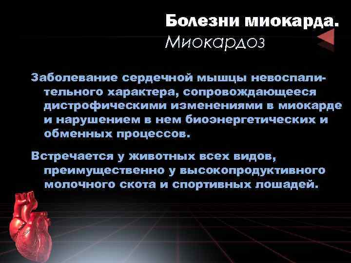 Болезни миокарда. Миокардоз Заболевание сердечной мышцы невоспалительного характера, сопровождающееся дистрофическими изменениями в миокарде и