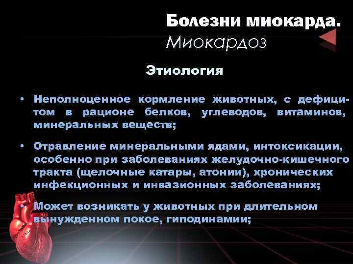 Болезни миокарда. Миокардоз Этиология • Неполноценное кормление животных, с дефицитом в рационе белков, углеводов,