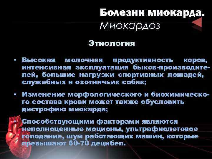 Болезни миокарда. Миокардоз Этиология • Высокая молочная продуктивность коров, интенсивная эксплуатация быков-производителей, большие нагрузки