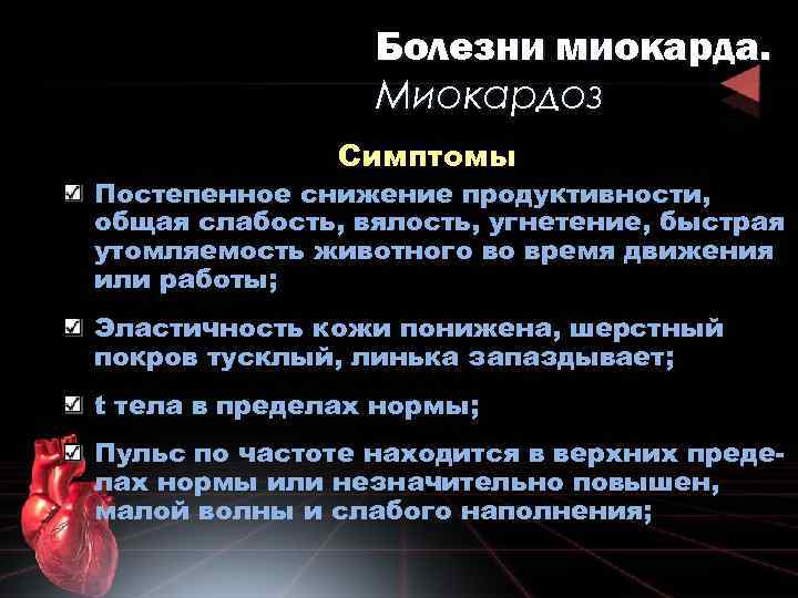 Болезни миокарда. Миокардоз Симптомы Постепенное снижение продуктивности, общая слабость, вялость, угнетение, быстрая утомляемость животного