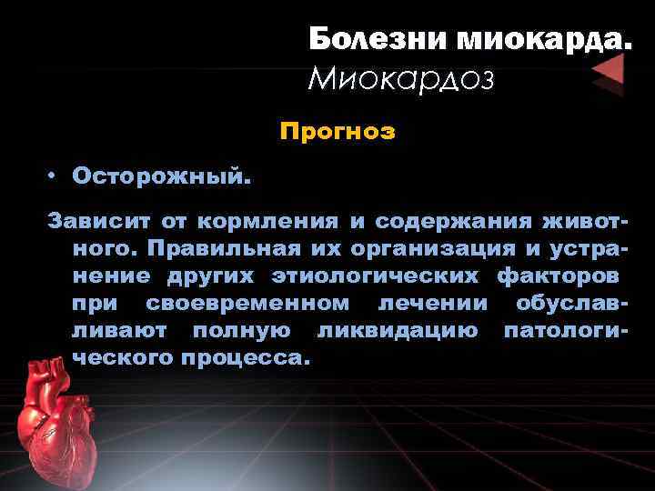 Болезни миокарда. Миокардоз Прогноз • Осторожный. Зависит от кормления и содержания животного. Правильная их