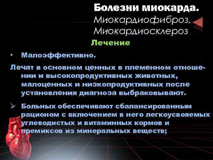 Болезни миокарда. Миокардиофиброз, Миокардиосклероз Лечение • Малоэффективно. Лечат в основном ценных в племенном отношении