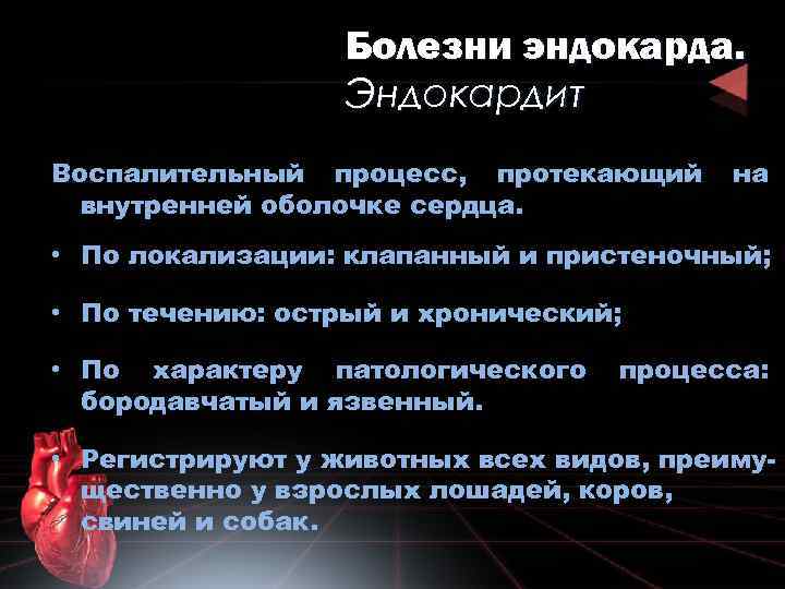 Болезни эндокарда. Эндокардит Воспалительный процесс, протекающий внутренней оболочке сердца. на • По локализации: клапанный