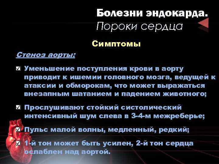 Болезни эндокарда. Пороки сердца Стеноз аорты: Симптомы Уменьшение поступления крови в аорту приводит к