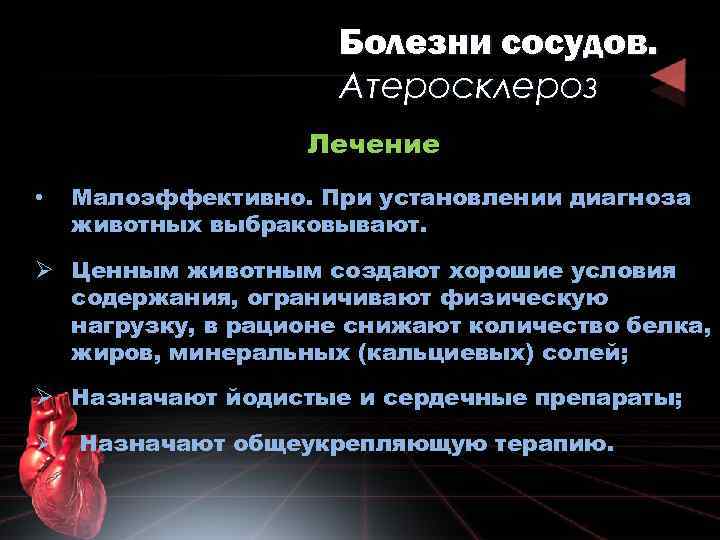 Болезни сосудов. Атеросклероз Лечение • Малоэффективно. При установлении диагноза животных выбраковывают. Ø Ценным животным