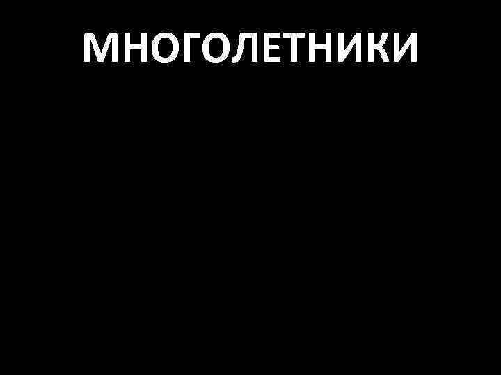 МНОГОЛЕТНИКИ 