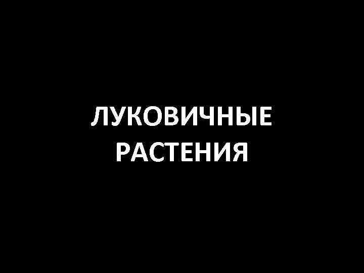 ЛУКОВИЧНЫЕ РАСТЕНИЯ 