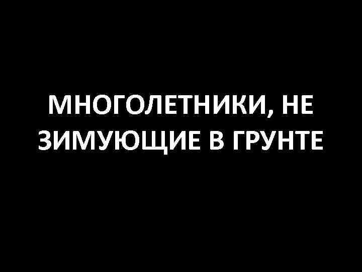 МНОГОЛЕТНИКИ, НЕ ЗИМУЮЩИЕ В ГРУНТЕ 