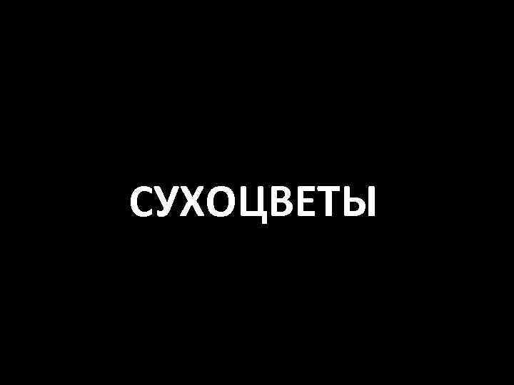 СУХОЦВЕТЫ 