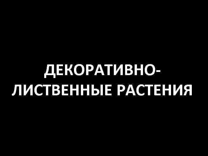 ДЕКОРАТИВНОЛИСТВЕННЫЕ РАСТЕНИЯ 