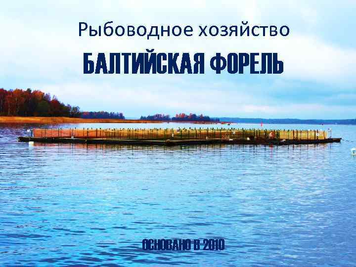 Рыбоводное хозяйство БАЛТИЙСКАЯ ФОРЕЛЬ ОСНОВАНО В 2010 