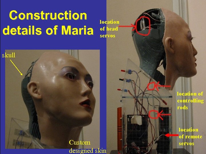 Construction details of Maria location of head servos skull location of controlling rods Custom
