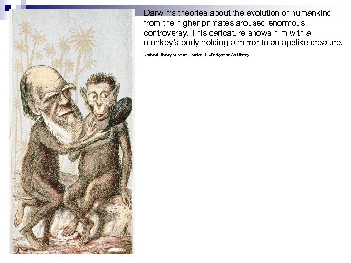 Darwin’s theories about the evolution of humankind from the higher primates aroused enormous controversy.