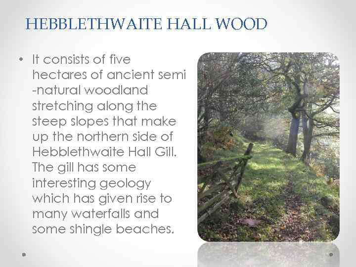 HEBBLETHWAITE HALL WOOD • It consists of five hectares of ancient semi -natural woodland