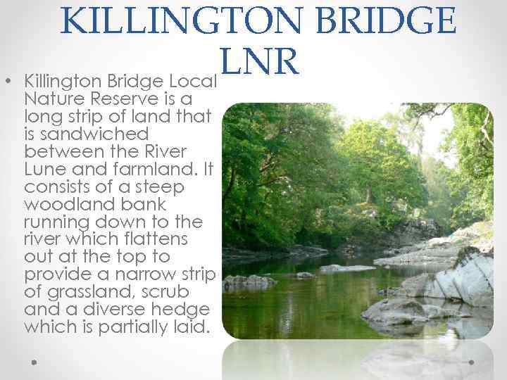  • KILLINGTON BRIDGE LNR Killington Bridge Local Nature Reserve is a long strip