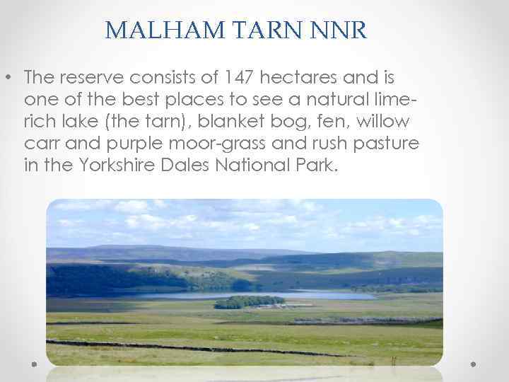MALHAM TARN NNR • The reserve consists of 147 hectares and is one of