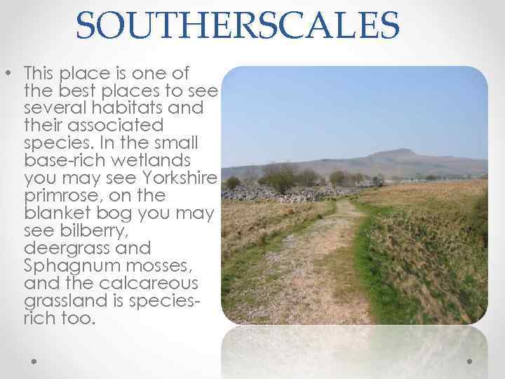 SOUTHERSCALES • This place is one of the best places to see several habitats