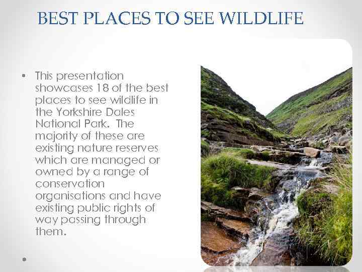 BEST PLACES TO SEE WILDLIFE • This presentation showcases 18 of the best places