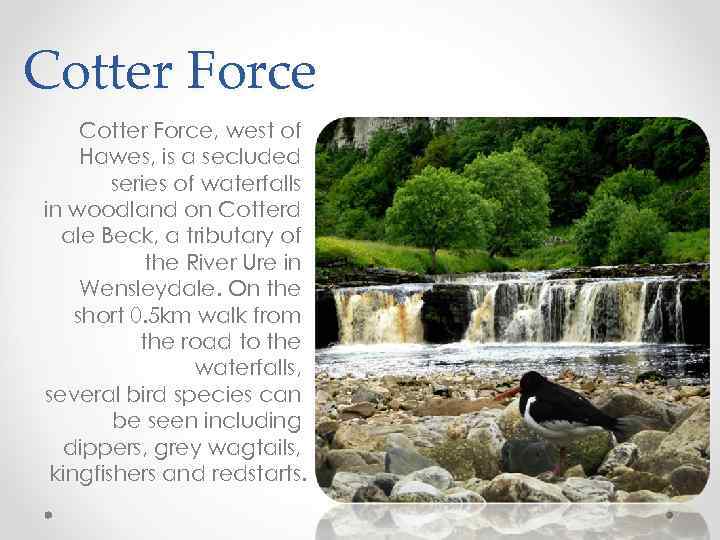 Cotter Force, west of Hawes, is a secluded series of waterfalls in woodland on