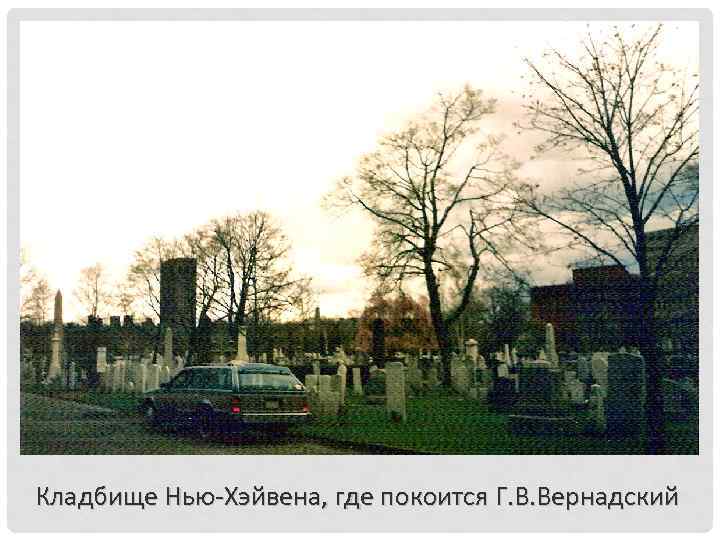 Кладбище Нью-Хэйвена, где покоится Г. В. Вернадский 