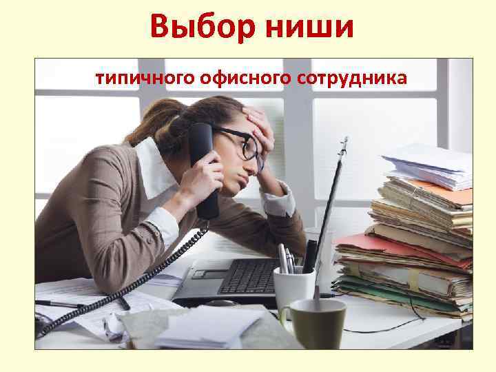 Выбор ниши типичного офисного сотрудника 