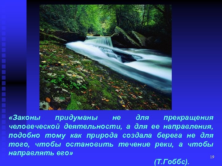  «Законы придуманы не для прекращения человеческой деятельности, а для ее направления, подобно тому