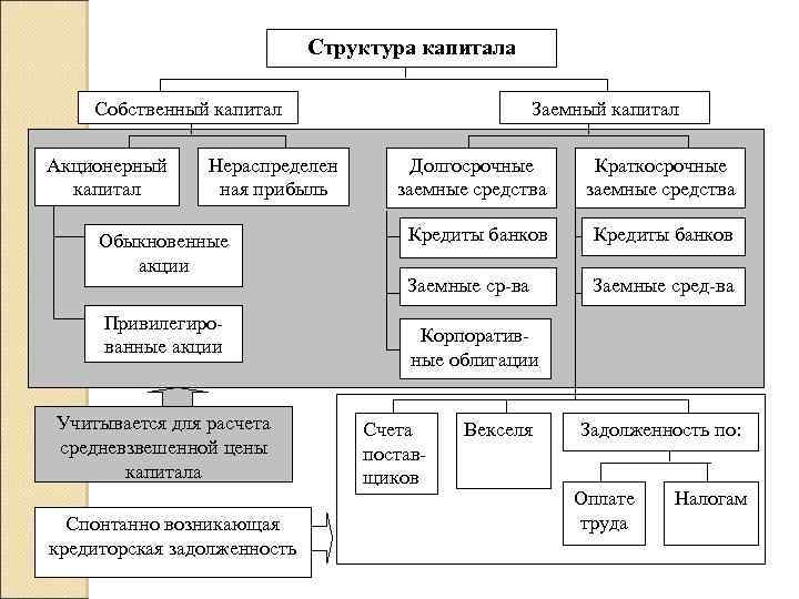 Структура капитала Собственный капитал Акционерный капитал Нераспределен ная прибыль Обыкновенные акции Привилегированные акции Учитывается