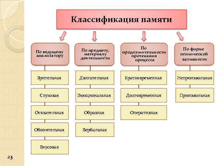 Классификация памяти По ведущему анализатору По предмету, материалу деятельности По продолжительности протекания процесса По