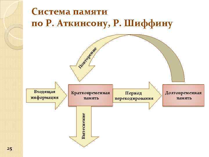 Модели памяти. Кратковременная память — подсистема памяти, обеспечивающая:. Модель памяти Аткинсона Шиффрина. Система памяти по р Аткинсону и р Шиффину. Схема памяти Аткинсона.