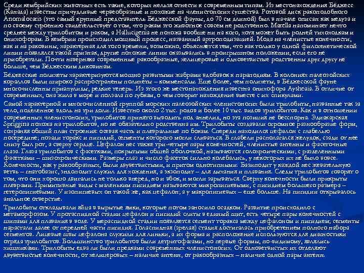 Среди кембрийских животных есть такие, которых нельзя отнести к современным типам. Из местонахождения Бёджесс