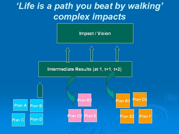 ‘Life is a path you beat by walking’ complex impacts Impact / Vision Intermediate