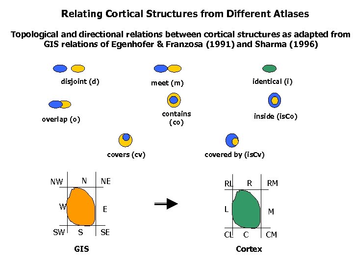 Relating Cortical Structures from Different Atlases Topological and directional relations between cortical structures as