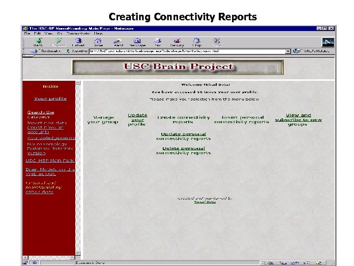 Creating Connectivity Reports 