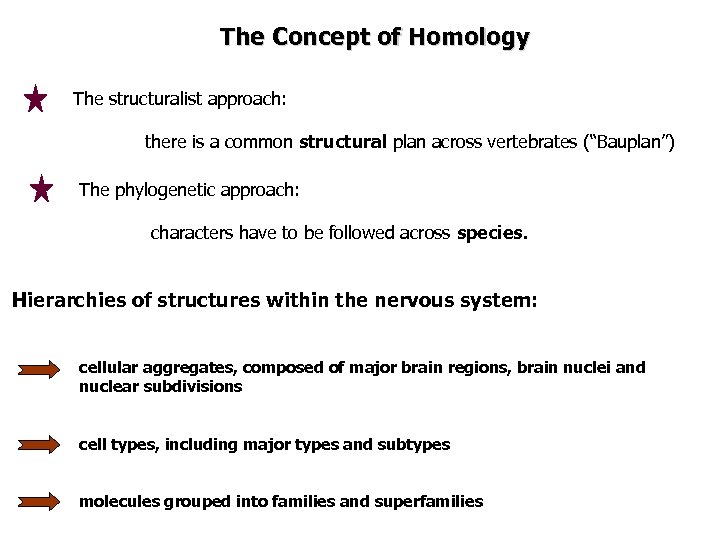 The Concept of Homology The structuralist approach: there is a common structural plan across